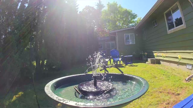 bird — 2026-05-17 16:23:38 — A juvenile sparrow is drinking and splashing in the fountain. bird — 2026-05-17 16:23:38 — A juvenile sparrow is drinking and splashing in the fountain.
