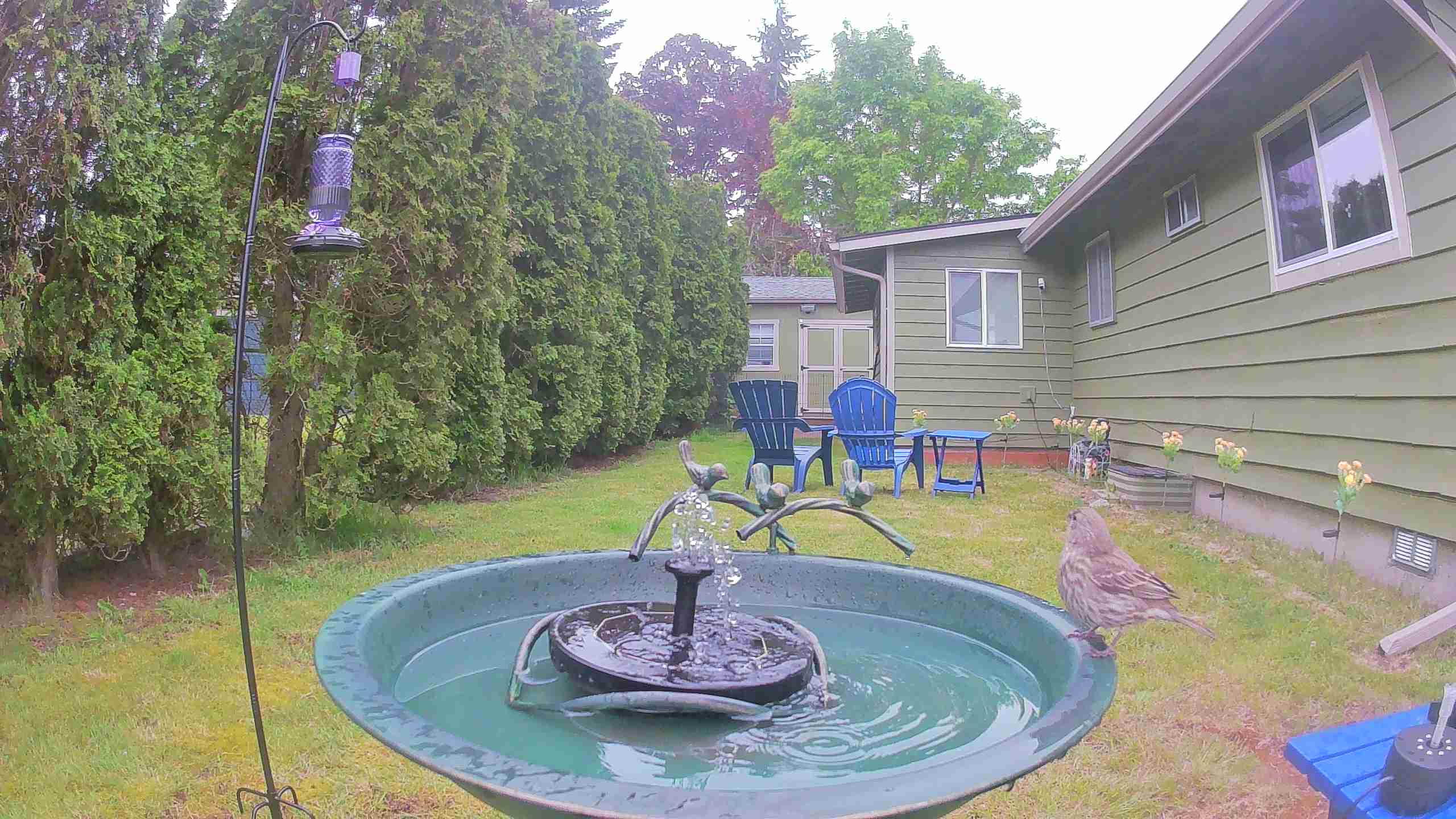 trigger image