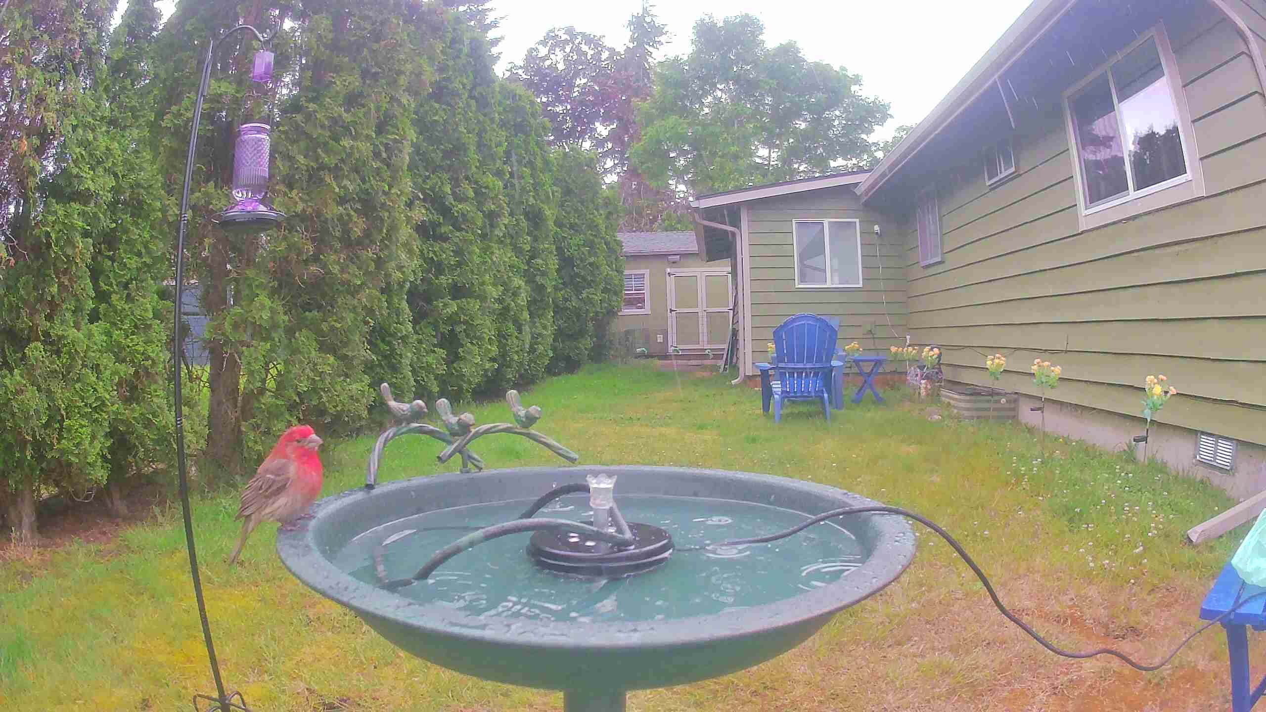 trigger image